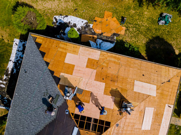 Quick and Trustworthy Emergency Roof Repair Services in Waynesboro, MS