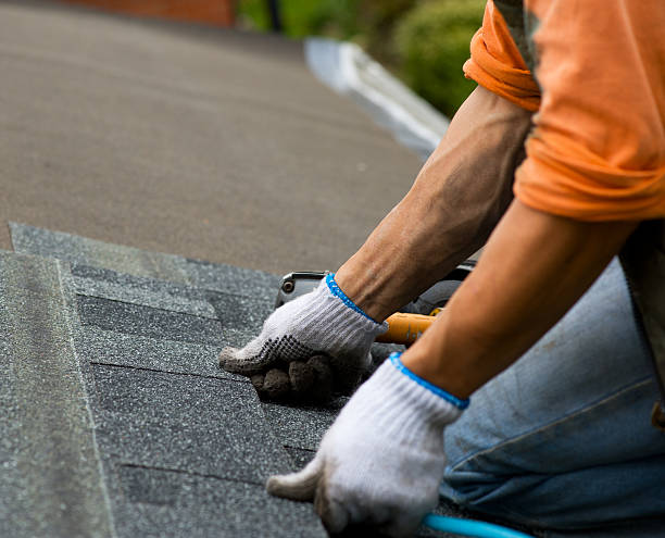 Best Flat Roof Repair Services  in Waynesboro, MS