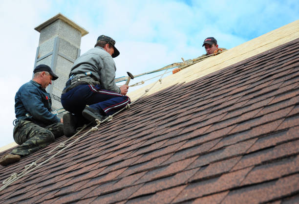 Best Storm Damage Roof Repair  in Waynesboro, MS
